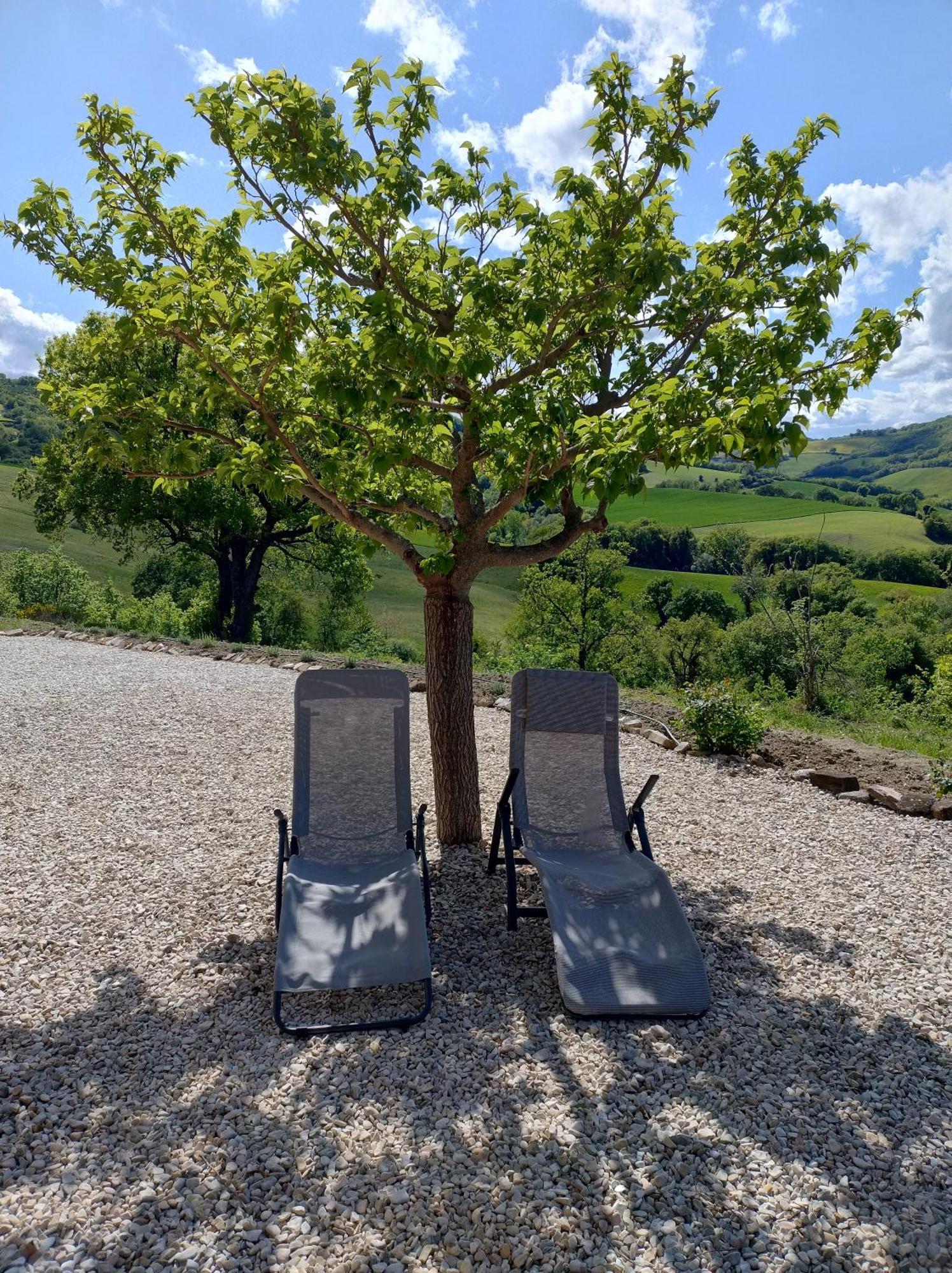 Rosa Nel Pozzo Apartments And B&B San Pietro  ภายนอก รูปภาพ